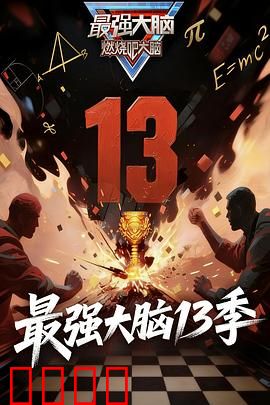 最强大脑 第十三季