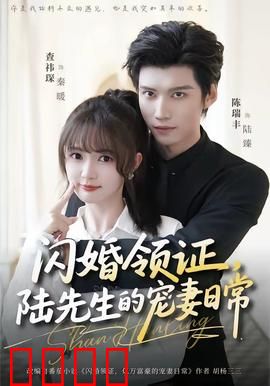 闪婚领证，陆先生的宠妻日常