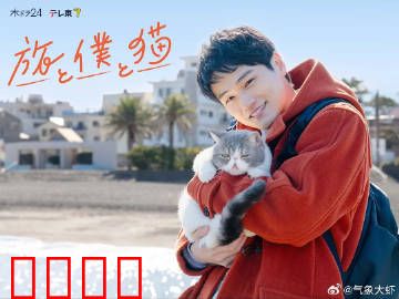 旅行和我和猫