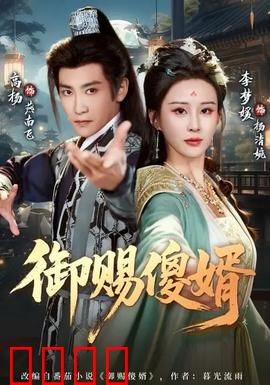 御赐傻婿