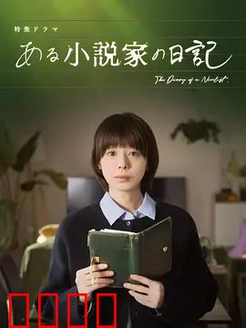某小说家的日记