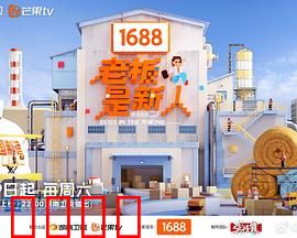老板是新人