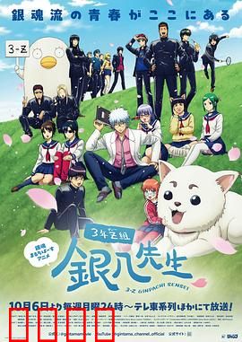 3年Z组银八老师