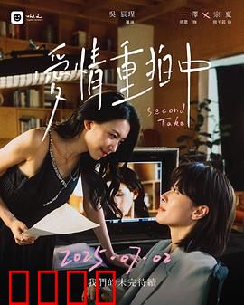 爱情重拍中