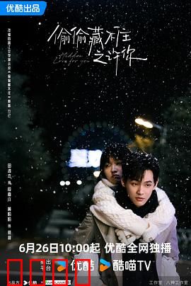 偷偷藏不住之许你