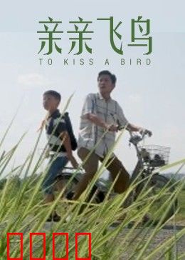 亲亲飞鸟