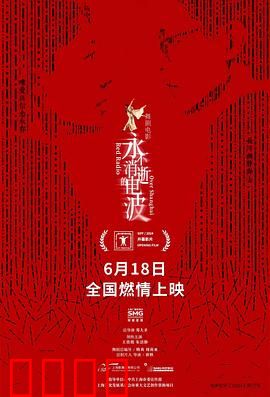 永不消逝的电波2024