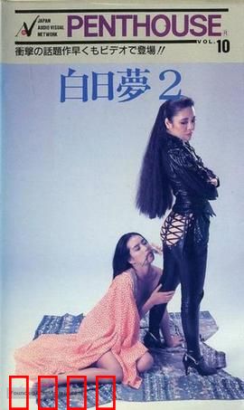 白日梦2