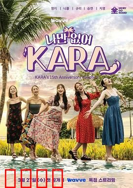 只有没有我，KARA