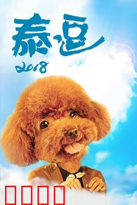 泰逗2018