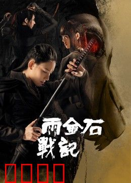 雨金石战记
