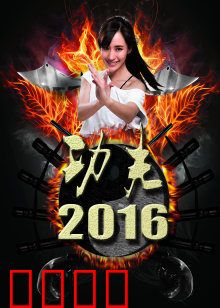 功夫2016