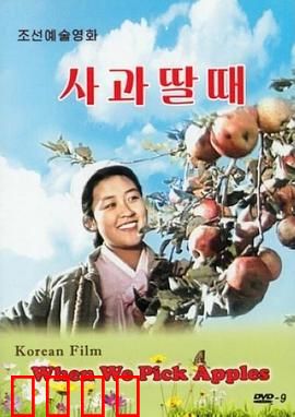摘苹果的时候