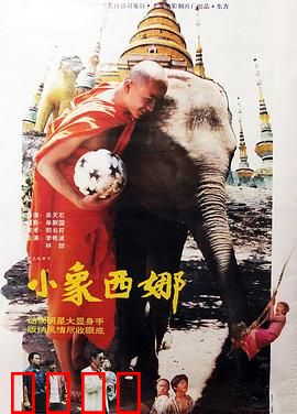 小象西娜