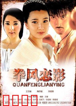 拳风恋影