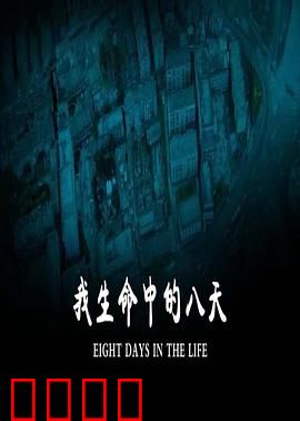 我生命中的八天