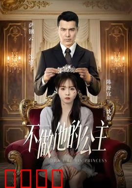 不做他的公主