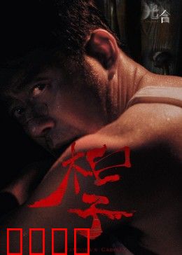 光合计划