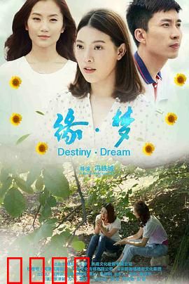 缘·梦