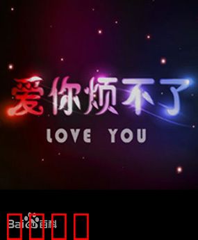 爱你烦不了