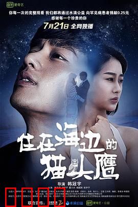 住在海边的猫头鹰