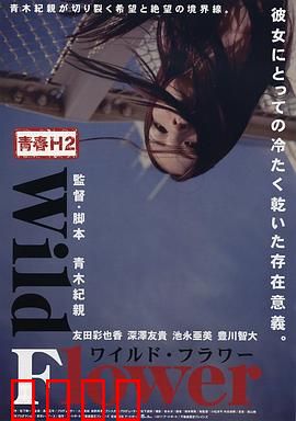 青春H2之狂野之花