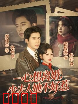 一心想离婚，少夫人她不好惹